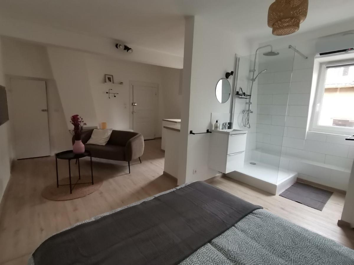 Toi Mon Toit Appartement Colmar Buitenkant foto