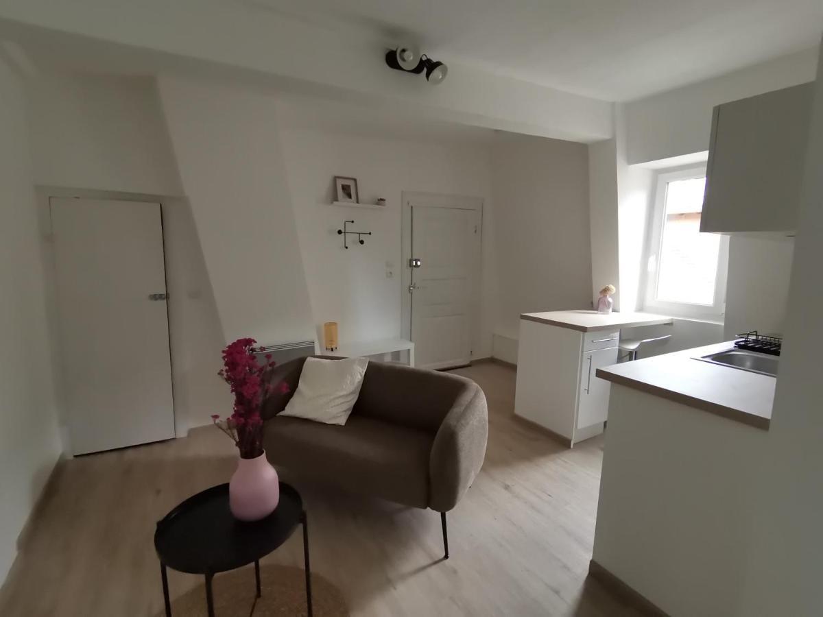 Toi Mon Toit Appartement Colmar Buitenkant foto
